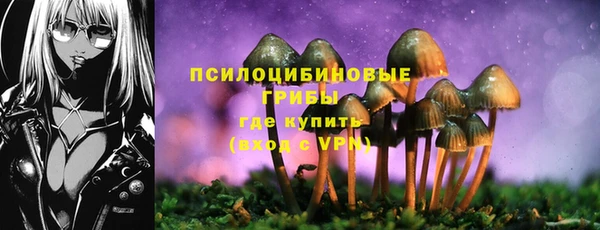 гашик Балабаново