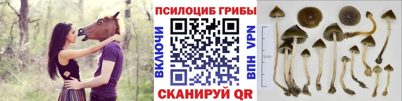 Галлюциногенные грибы ЛСД  Купить  Наро-Фоминск 